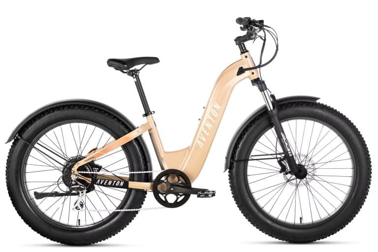 Velotric Adventure Step Through