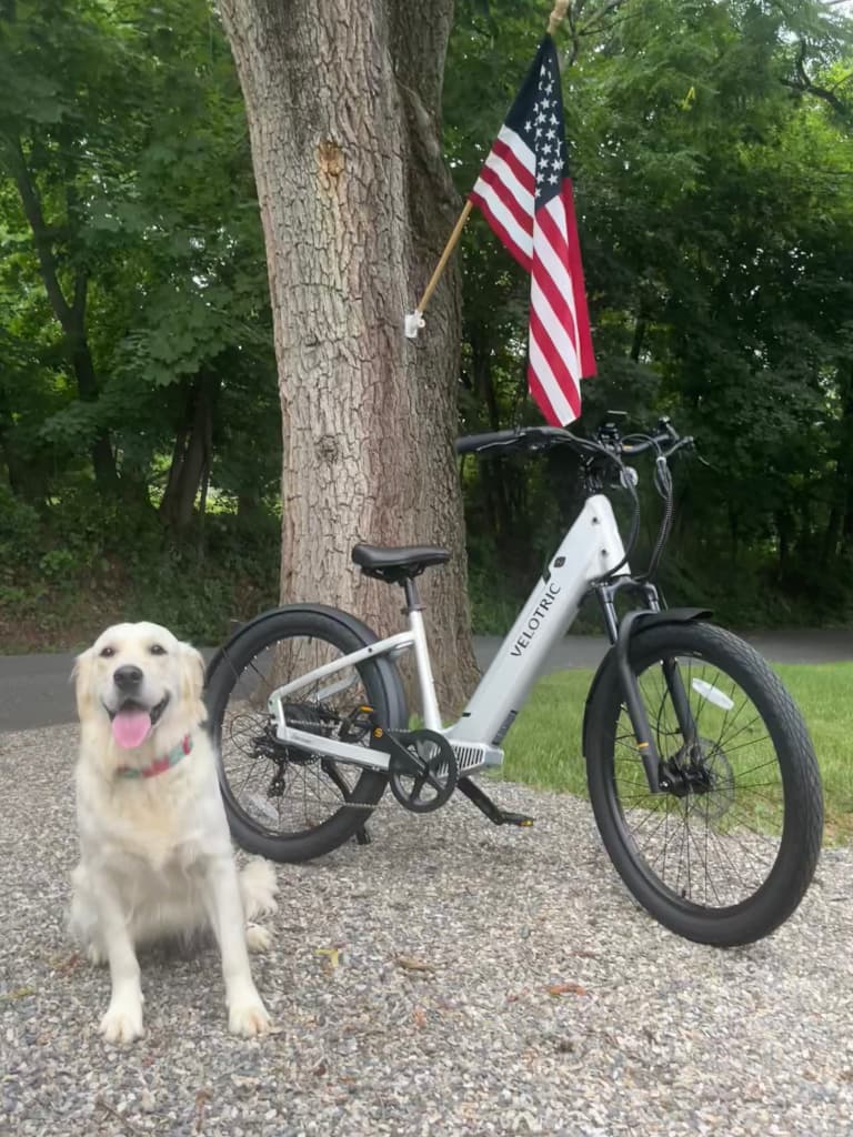 Velotric Discover1 Plus
